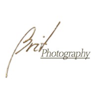 Brit Photography logo - Similar company to Leo Consulting Group