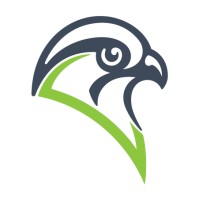 DarkFalcon logo - Similar company to Smart Security