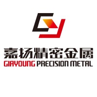 Dongying Giayoung Precision Metal Co., Ltd. logo - Similar company to Ts-Sinotai