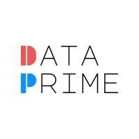Data Prime logo - Similar company to Data Prime