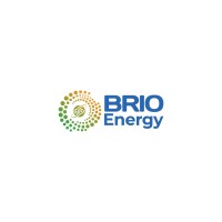 Brio Energy Pvt. Ltd. logo - Similar company to Rmv Tech Oy