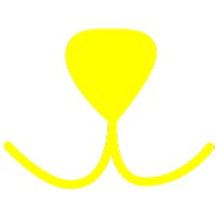 Golden Bear Media