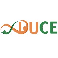 DUCE logo - Similar company to Bertha Von Suttner Privatuniversität