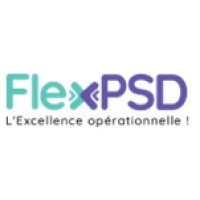 FlexPSD logo - Similar company to Solutec-Tchad