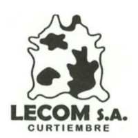 LECOM  S.A. logo - Similar company to Piramide Producciones