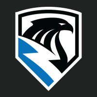 Eagle Electric Machinery logo - Similar company to Southern Thrusters
