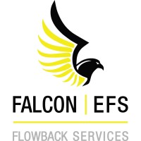Falcon | EFS Flowback Services logo - Similar company to Testalta Services Ltd.