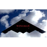 WingMan Photogrammetry logo - Similar company to Spm 3D - Scanning, Photogrammetry, Modelling