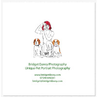 Bridget Davey Photography logo - Similar company to Topcret