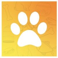 Lilly App logo - Similar company to Dollat Inc.