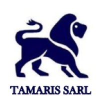 TAMARIS Evènementiels logo - Similar company to Psf Sécurité