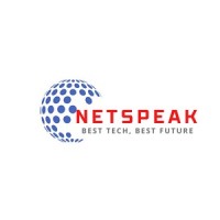 Netspeak Infotech Private Limited logo - Similar company to Cyberyog Technologies