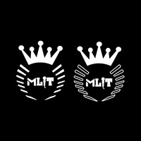MLIT WORLD logo - Similar company to Par Enchantement