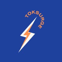 TokSurge logo - Similar company to Bytelab