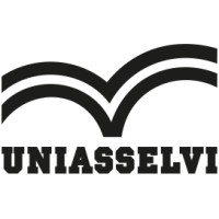 Uniasselvi Viçosa logo - Similar company to Uniasselvi | Ead Pará