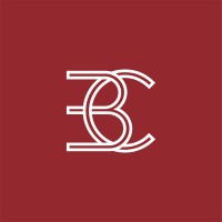 Blockchain Consulting logo - Similar company to Creative Tk