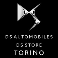 DS Store Torino logo - Similar company to Deepeex