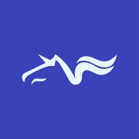 STRAVISION logo - Similar company to Startup Trace