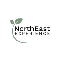 NorthEast Experience logo - Similar company to Igxperts