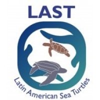 Latin American Sea Turtles logo - Similar company to Studio11 Madrid Dance Center