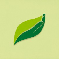 Serviço Florestal Brasileiro logo - Similar company to Observatório Do Código Florestal