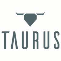 TAURUS Digital logo - Similar company to Techsolnet