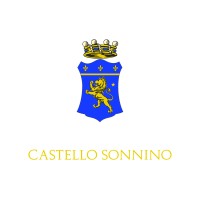 Castello Sonnino International Education Centre logo - Similar company to Castello Di Rivalta