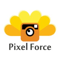 Pixel Force Pvt. Ltd. logo - Similar company to Wemore