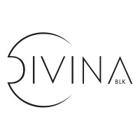 DIVINA BLK logo - Similar company to Meet