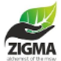 Zigma Global Environ Solutions Pvt. Ltd. (Part of the Blueplanet group) logo - Similar company to Zigma Erp