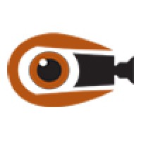 Video Perspective, LLC logo - Similar company to Own Elevation Global