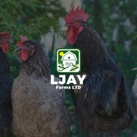 L-JAY Farms Ltd logo - Similar company to Vision Support Center