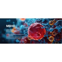 Graduate Program in Molecular Basis of Human Diseases University of Crete Medical School logo - Similar company to Neurosciences Master’S Program At The University Of Crete