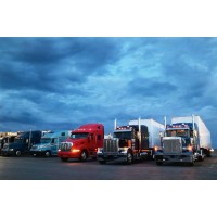 American Logistics & Container Shipping, NY - logo - Similar company to Goex Transport