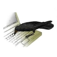 Raven Computers logo - Similar company to Raven Computer