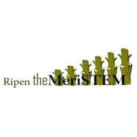 Ripen the MeriSTEM, Inc. logo - Similar company to The 15 White Coats