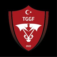 Türkiye Geleneksel Güreşler Federasyonu logo - Similar company to Web0 Ventures