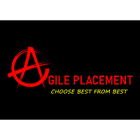 Agile Placement logo - Similar company to Estechnology