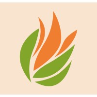 Aloe Estética Femenina & Spa® logo - Similar company to Exceliti Business Coaching Institute