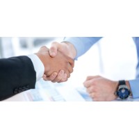 Independent Practice Partners logo - Similar company to Mcquaide & Co. Public Sector Sales Consulting