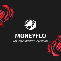 MoneyFlo logo - Similar company to Moneyflow