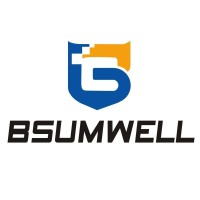 bsumwell logo - Similar company to Lantern Media