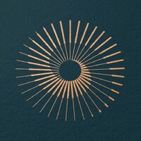 StepChange - tréningy pre váš rozvoj logo - Similar company to Mini Tech Mba