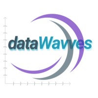 DataWavves: Marketing Solution Provider logo - Similar company to Data Link Solutions, Inc.