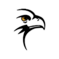 Hawkeye Snagging Limited logo - Similar company to Snagging 4 U