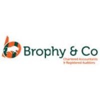 Brophy & Co Chartered Accountants logo - Similar company to Michael Power Accountants