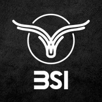 BSI | XP Investimentos logo - Similar company to O Caixa