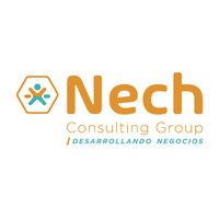 Nech Consulting Group logo - Similar company to Quicam Srl