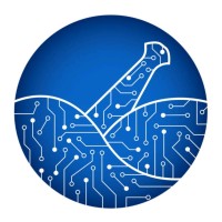 Pusht Health Service logo - Similar company to Maxanalytic