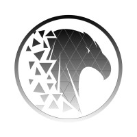 Silver Falcon Digital logo - Similar company to R. K. Silver